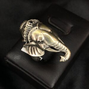 Anel Ganesha Elefante Sagrado – Prata 925